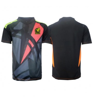 Mexico Goalkeeper Replica Home Stadium Shirt Copa America 2024 Short Sleeve